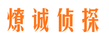 郾城市调查公司